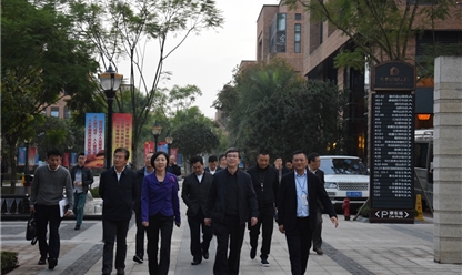 重庆市政协王新强副主席、市经信委杨丽琼副主任指导园区工作