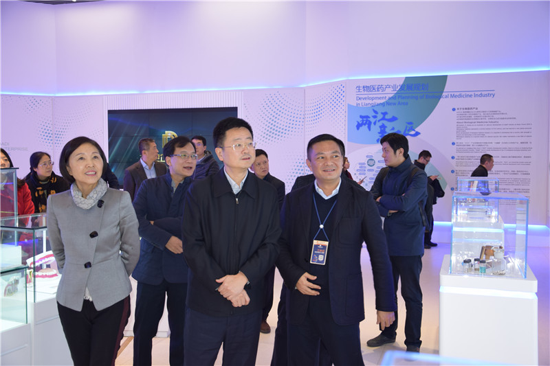 2018年11月重庆市委常委段成刚、市经信委杨丽琼副主任调研园区工作