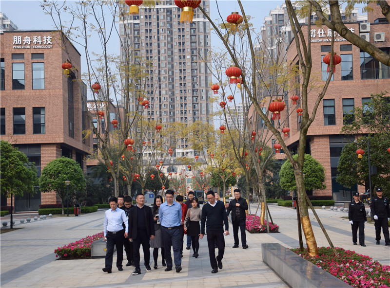 2019年3月国家发改委财金司张春副司长一行调研园区