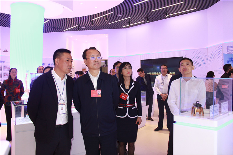 2019年5月人大常委会杜黎明副主任带领在渝全国人大代表调研大地企业公园